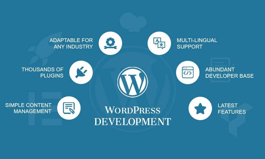 wordpress web development